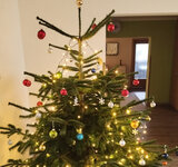 Überraschung in der Vorweihnachtszeit