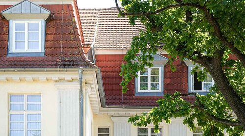 Gebäuderückseite des Annastifs Jarmen mit Fenstern und einem Baum 